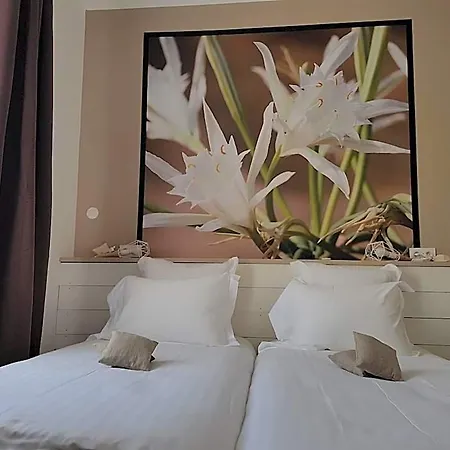 Hotel-restaurant 
