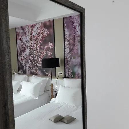 Hotel Hôtel-restaurant Chez Carrière 3*